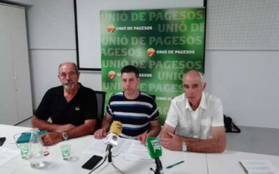 UP demana extremar les mesures davant l’amenaça de PPA