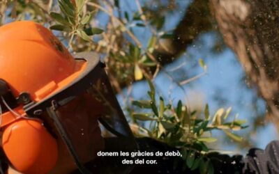 El DARP posa en valor la tasca de la cadena alimentària en un video