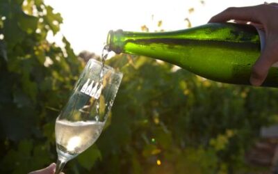 L’impacte de la Covid llasta les expedicions de cava un -13,62%