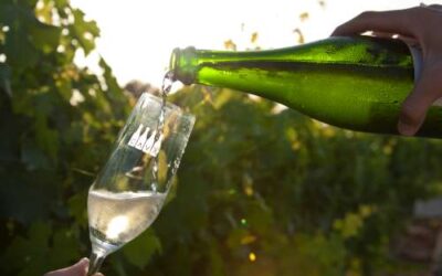 UP critica que Planas amagui la seva inacció en la crisi del cava rere el conflicte català