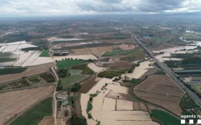 Reclamen un decret llei per a la reposició dels béns agraris afectats pel temporal