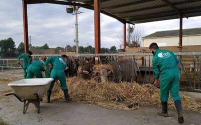 Obertes les preinscripcions de les escoles agràries als cicles formatius