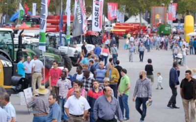 La Fira de Sant Miquel i l’Eurofruit superen ja el 75% d’ocupació