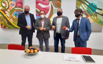 La previsió de collita de préssecs i nectarines de Catalunya baixa un 11% respecte el 2020