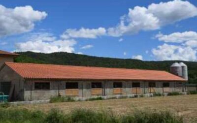 Nou decret de gestió de la fertilització del sòl i de les dejeccions ramaderes