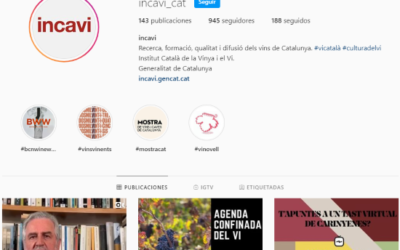 Llibres i vins catalans per al Sant Jordi confinats