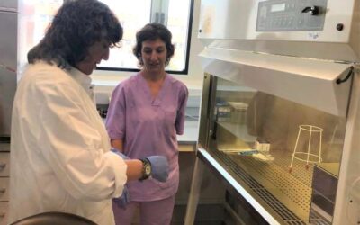 En marxa, la sala de seguretat biològica del Laboratori de Sanitat Animal i Vegetal