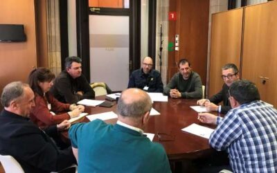 Volen que es garanteixi un pressupost mínim per a la protecció d’oliveres monumentals