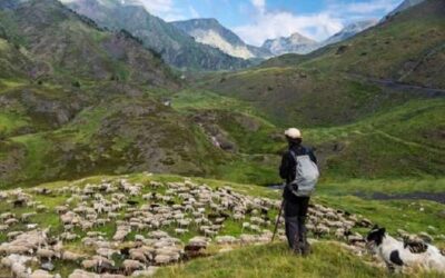 Catalunya acollirà un dels primers espais test agraris a l’Estat espanyol