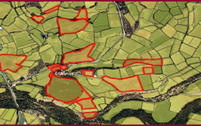 El DARP publica el Mapa d’Explotacions Agrícoles
