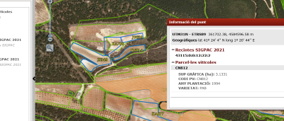 A disposició pública el mapa de parcel.les vitícoles de Catalunya