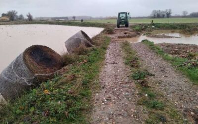 UP reclama mesures per reparar les finques i infraestructures malmeses pel Glòria