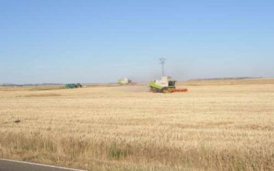 El 30% de les notícies falses per Internet són falses informacions alimentàries