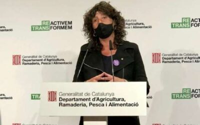 El DARP actualitza el balanç de les afectacions agrícoles a causa del temporal