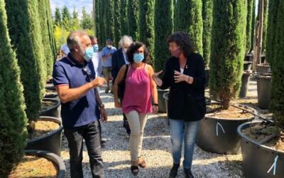 Pla de xoc per al sector de la flor i la planta ornamental