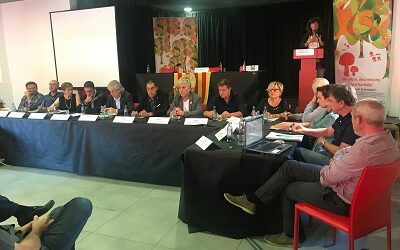 Se subhasten 64.375 tones de fusta, amb un valor de gairebé 3 milions d’euros