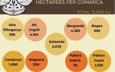 Tractades 15.000 ha amb mitjans aeris per al control de la processionària del pi