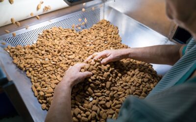 Les cooperatives agràries comercialitzen amb preus superiors a la mitjana