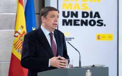 Mesures urgents per afavorir la contractació temporal en el sector agrari espanyol