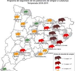Disminueix en gran part de Catalunya la població de senglars