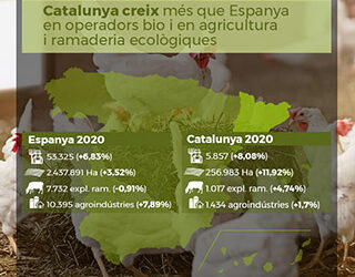La producció agrària ecològica creix més a nivell català que al conjunt de l’Estat
