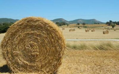 S’abonen 214 M€ dels ajuts directes de la PAC corresponents al 2019