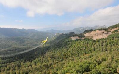 Els tractaments aeris per al control de la processionària del pi abasten 17.500 ha