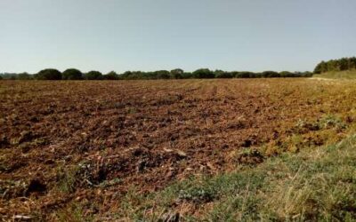 UP recorre el Decret de gestió de la fertilització del sòl