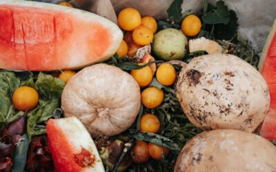 El malbaratament alimentari: noves obligacions per a la cadena alimentària