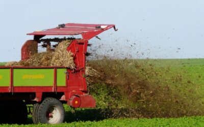 Fertilitzar o no fertilitzar? IA per a una fertilització precisa i sostenible