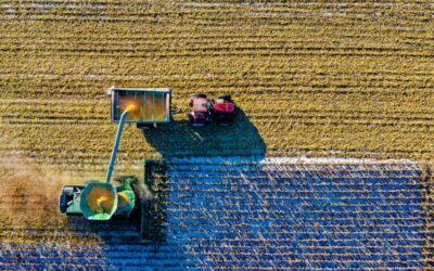 Costos de producció elevats