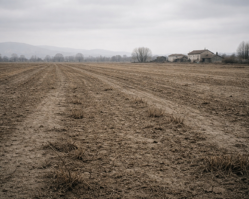 És incompressible la poca preocupa per l’agricultura